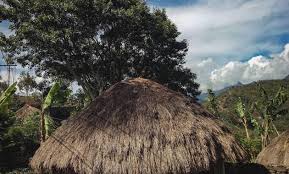 Wilayah ini disebut dengan lembah baliem atau juga sering disebut dengan lembah wamena. Rumah Adat Papua Nama Keunikan Gambar Dan Penjelsannya
