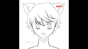 How to draw anime boy with cat ears. How To Draw An Anime Boy With Cat Ears Youtube