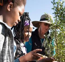 The Local Phenology Program Guide