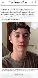 Commissioned Pet Portraits by Ousted Dog Mural Artist in Gulfport Florida