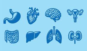 Image result for Review of Systems