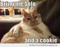 50 fat cat memes ranked in order of popularity and relevancy. Hilarious Fat Cat Quotes Quotesgram