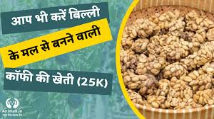 दुनिया की सबसे महंगी कॉफी की खेती का तरीका। सिवेट कैट कॉफी। | Pashu Gyan