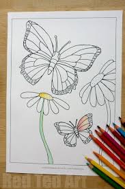 Top 25 butterfly coloring pages: Free Butterfly Colouring Pages For Spring Summer Red Ted Art Make Crafting With Kids Easy Fun
