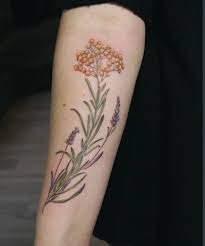 V A N E S S A C O R E On Instagram Helichrysum Italicum X Lavandula Un Ramo Di Elicriso Simbolo Dell Amore E Tatuaggi Helichrysum Italicum Instagram