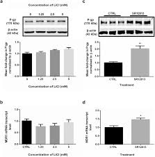 Further experiments demonstrated that licl did not affect virus attachment or entry. Assessing The Impact Of Lithium Chloride On The Expression Of P Glycoprotein At The Blood Brain Barrier Journal Of Pharmaceutical Sciences
