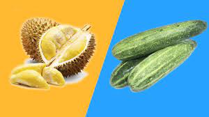 Durian dengan mentimun, menggolek rosak, kena golek binasa. Kenapa Melayu Suka Lagakan Durian Dengan Timun Ajar