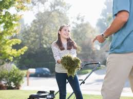 Snow and ice removal tools. The Pros And Cons Of Teens Mowing Lawns