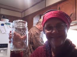 Has anyone fermented mirliton out there?