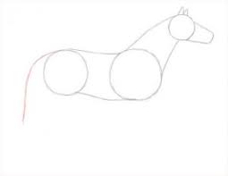 This is supposed to be a sketch, not a part of the final step 8. How To Draw A Horse Step By Step Guide