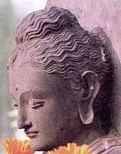 Januari 20, 2021 no comments. Buddha Alemannische Wikipedia