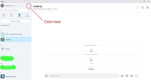 Even the newbies can learn to use the app in a professional manner. Easy Steps To Setting Up Skype On A Windows 10 Computer Turbofuture