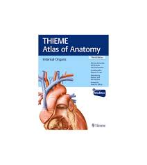 You can free download thieme atlas of anatomy pdf general anatomy and musculoskeletal system 2nd edition pdf by links are given below. Thieme Atlas Of Anatomy Internal Organs
