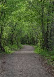 Summer Time Is This Way Walking In Nature Visit Canada Canada Travel