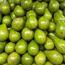 Aguacate Papelillo