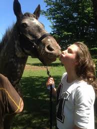 Pour L Amour Du Cheval Home Facebook Ce nest pas du papier. facebook