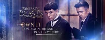 We've got our hands on seven preview clips of fantastic beasts and where to find them, the upcoming fantasy movie directed by david yates and starring eddie redmayne, katherine waterston, dan fogler. Fantastic Beasts And Where To Find Them 2 Cast Here S What Is Known So Far Entertainment News The Christian Post