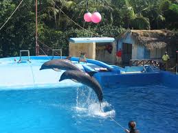 Find vacation rentals with your favorite amenities: Manati Park Punta Kana Cityseeker