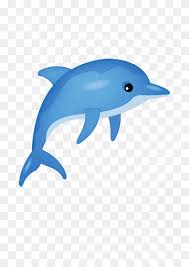 We did not find results for: Dolphin Cartoon Png Images Pngwing