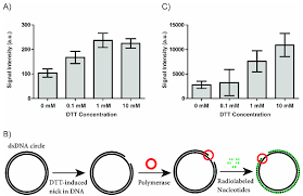 dtt mediated nicking of double stranded dna a bar chart