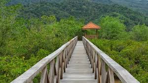 See more ideas about pre wedding, prewedding outdoor, oudoor. Mangrove Forest In Trenggalek From Prewedding Background Until Weekend Hip Spot Halaman 2 Surya