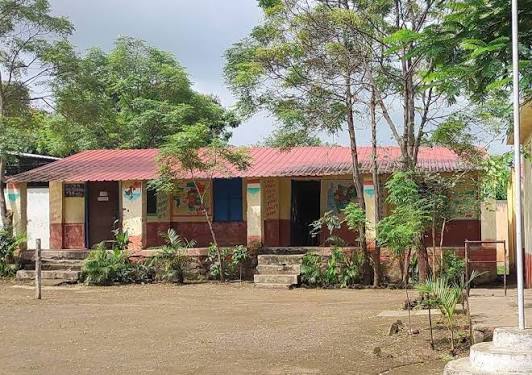 जि.प.प्राथमिक शाळा वाचविणे काळाची गरज-गोरख जगताप