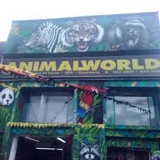 Pet Shop Animal World