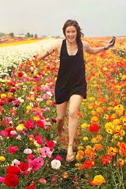 Learn about the fields, get directions and purchase tickets. Adilaine Photography Carlsbad Flower Fields Carlsbad Flower Fields Flower Field Carlsbad