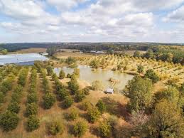 370 rickwood park road in warrior, ala. Poultry Pecan Farm W Wedding Venue Ranch For Sale In Cullman Cullman County Alabama 116793 Ranchflip