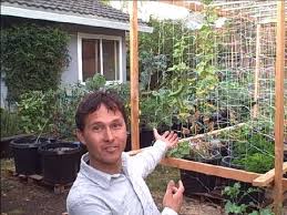 First of all, you have to figure out how much space you can afford for the zen garden in your backyard. Backyard Organic Container Vegetable Garden Perfect For People Who Rent Youtube