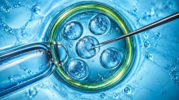 Embryos Aren't Property