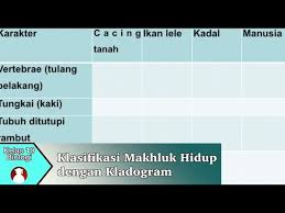 Sejarah genogram genogram pertama kali diperkenalkan oleh murray bowen pada tahun 1950 sebagai alat yang digunakan dalam terapi keluarga (peluso, 2003: Kelas 10 Biologi Klasifikasi Makhluk Hidup Dengan Kladogram Video Pendidikan Indonesia Youtube