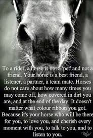 To A Rider A Horse Is Not A Pet And Not A Feiend Your Horse Is A Best Friend A Listener A Part Horse Riding Quotes Horse Quotes Inspirational Horse Quotes