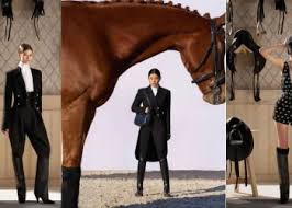 La sede dei Weg 2018 apre le porte ai cavalli sfrattati dall'uragano Irma