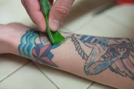 It could lead to the formation of itchy bumps and rash around the tattoo. How To Minimize And Prevent Tattoo Scarring With Aloe Vera Tatring Tattoos Piercings