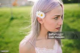 3,686 Daisy Long Stock Photos, High-Res Pictures, and Images