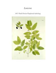 Chubby misty behind chubby from hard. Lonicera By Mara Cregan Issuu