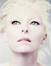 Tilda Swinton Hd Wallpapers 7wallpapers Net Free download tilda swinton wallpapers hd on our website with great care. tilda swinton hd wallpapers