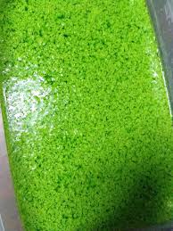 Maybe you would like to learn more about one of these? Kuali Mama Agar Agar Lumut Agar Agar Santan Pandan Facebook