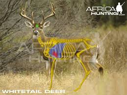 Index Of Hunting Hunting Vitals