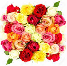 Flower bouquet wedding summer white roses pictures. Rose Beautiful Flower Pictures Sinhala21 Blogspot Com