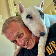 This Dog 😆#minibullterrier #iggy