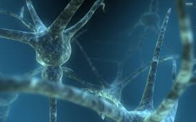 Bishop Pattern Recognition And Machine Learning Solutions Aldh Gene Family In 2020 Neurons Dual Monitor Wallpaper Brain Neurons