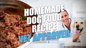 homemade dog food recipe vet approved