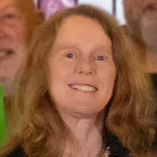 Hertfordshire local election: The 5 candidates in Bridgewater