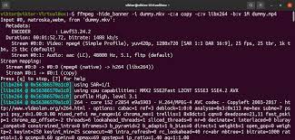 If you would like, just click the settings image next to the output file to adjust the video and audio codec, resolution, etc. How To Convert Mkv To Mp4 In Ubuntu Using Ffmpeg Linux Hint