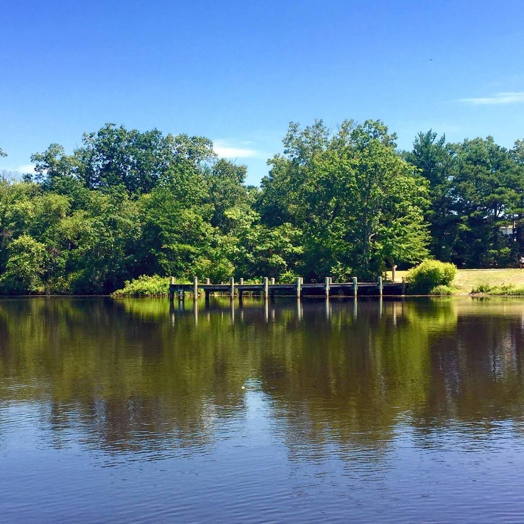Lake Shenandoah