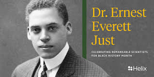 Dr. Ernest Everett Just: Using sand dollars to solve biological mysteries