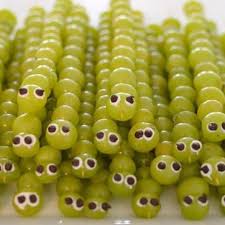Grape Caterpillar Skewers Recipe Fun Kids Food Fun Snacks Kids Meals