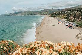 Free surfboard and wetsuit rental. Malibu California Kassia Meador S Guide On Where To Surf Stay Play